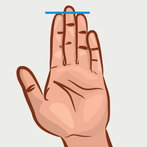 Nhân tướng học: Chiều dài ngón tay nói lên điều gì về tính cách của bạn