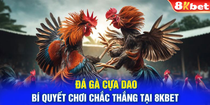 Đá Gà Cựa Dao - Bí Quyết Chơi Chắc Thắng Tại 8kbet